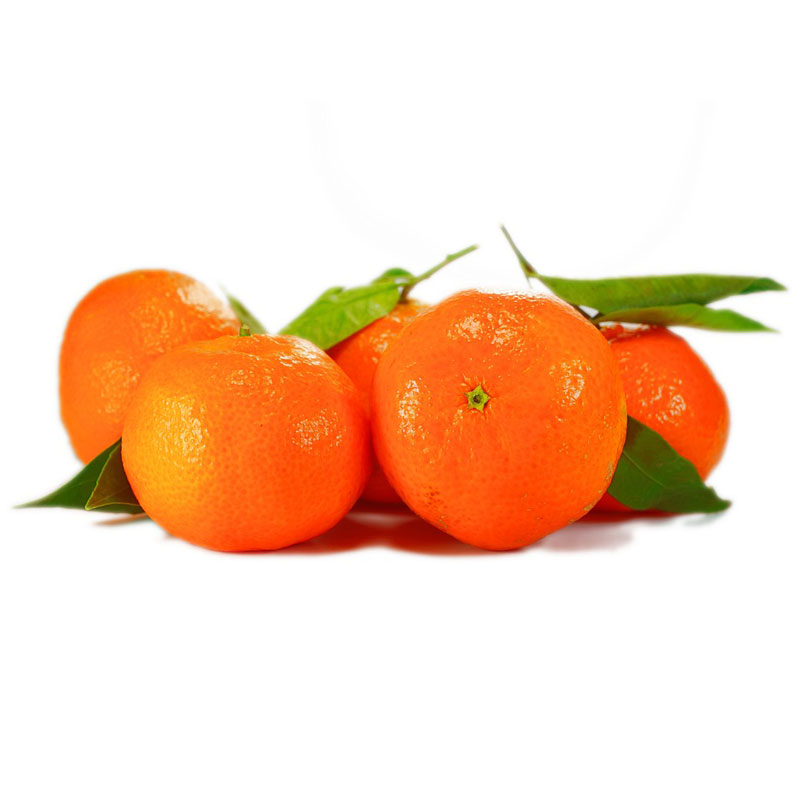 mandalina